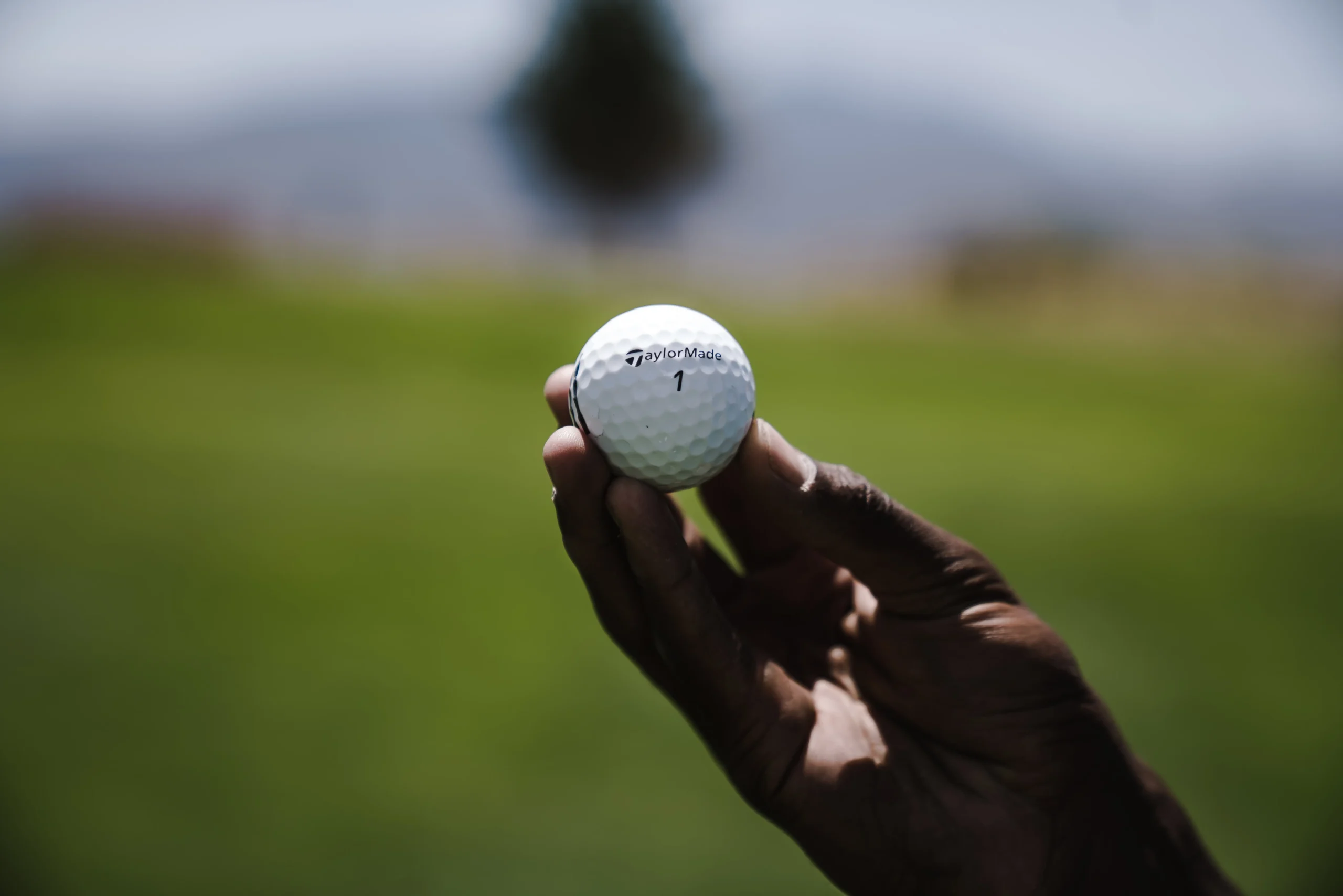 TaylorMade Golf Ball